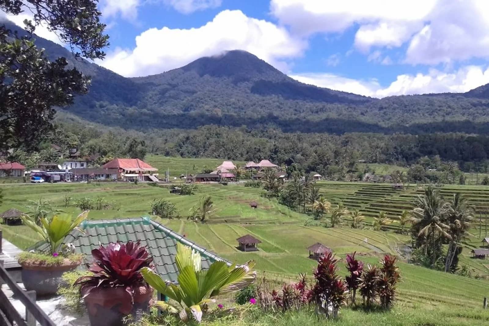 Jatiluwih — Attraction