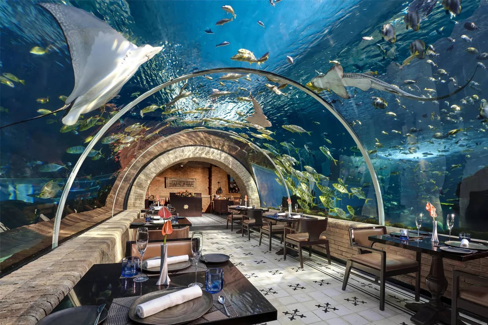 Koral — Restaurant