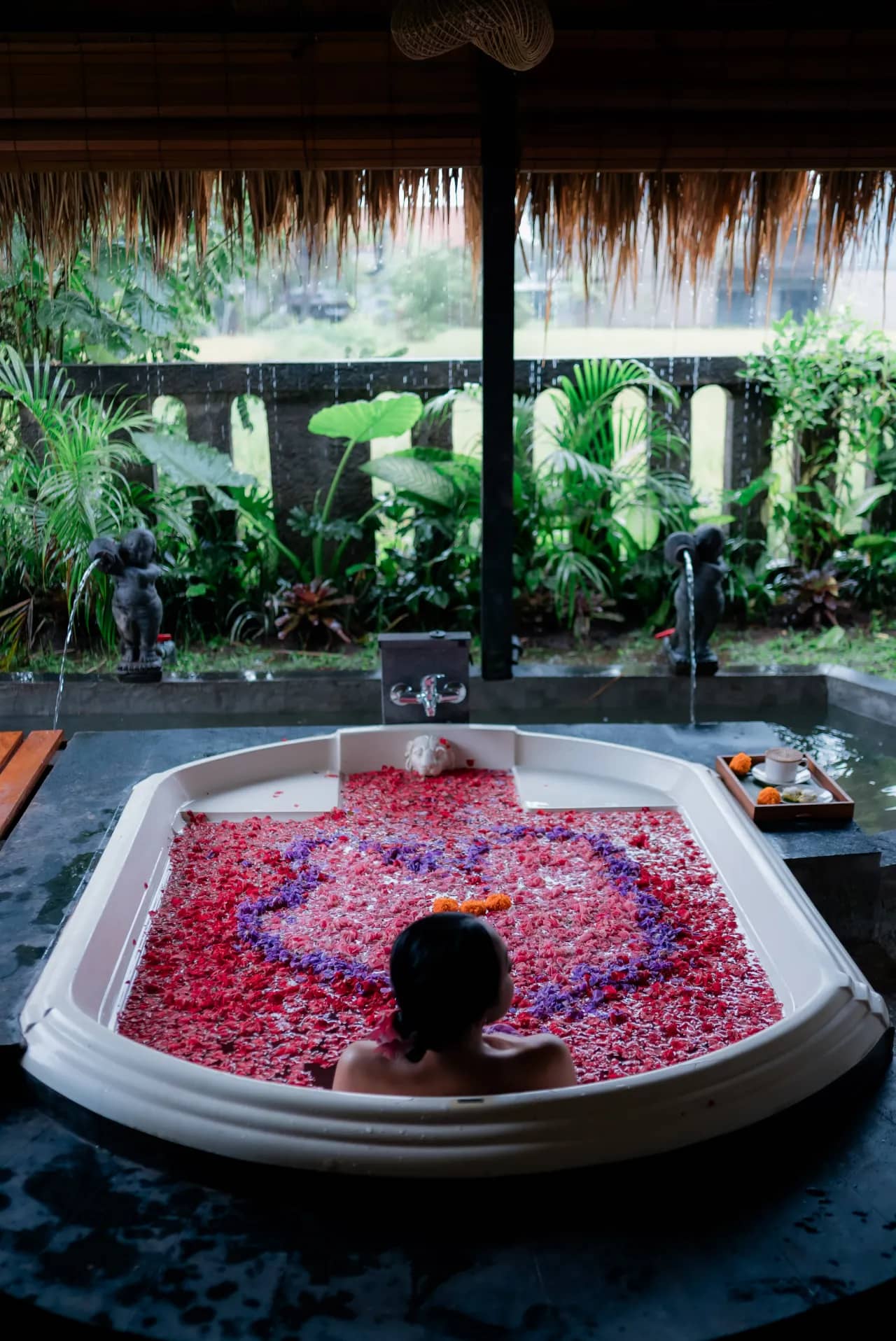 Parina Spa — Wellness