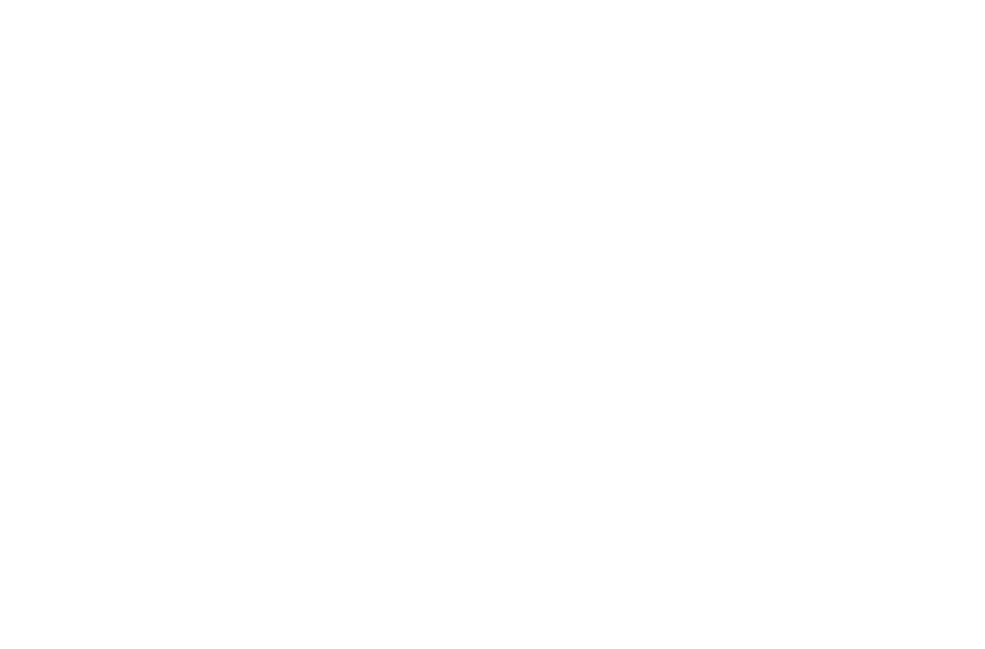The Sanur — Wellness