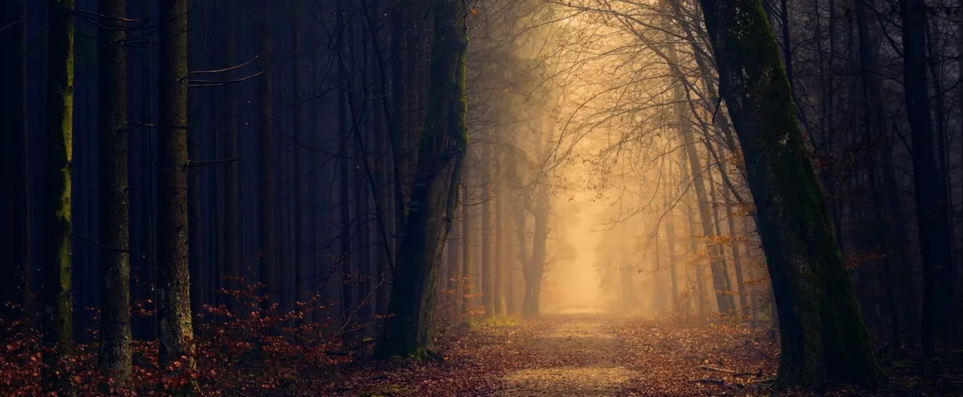 Supernatural Wellbeing — Wellness