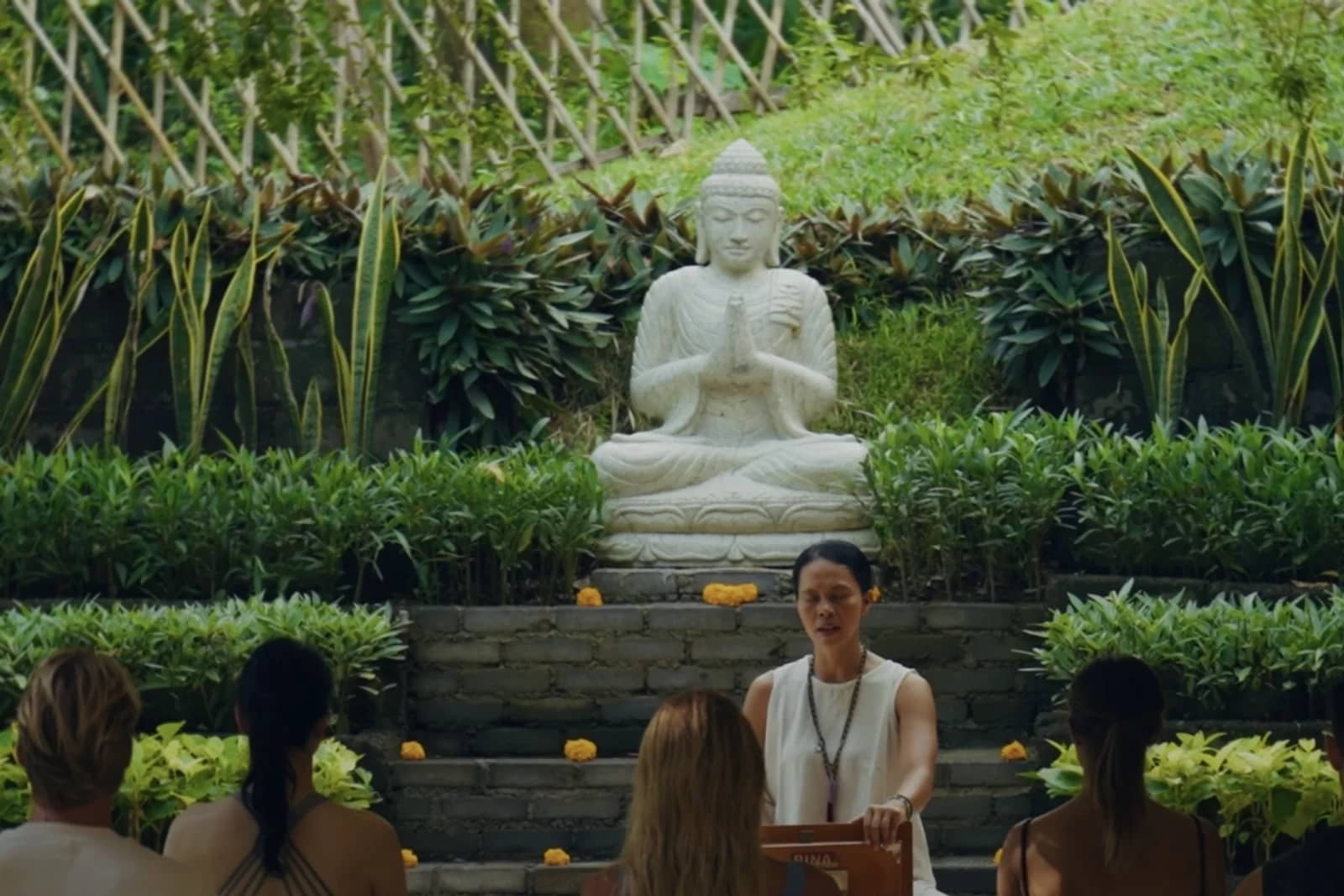 REVĪVŌ Yoga / Mindfulness — Yoga