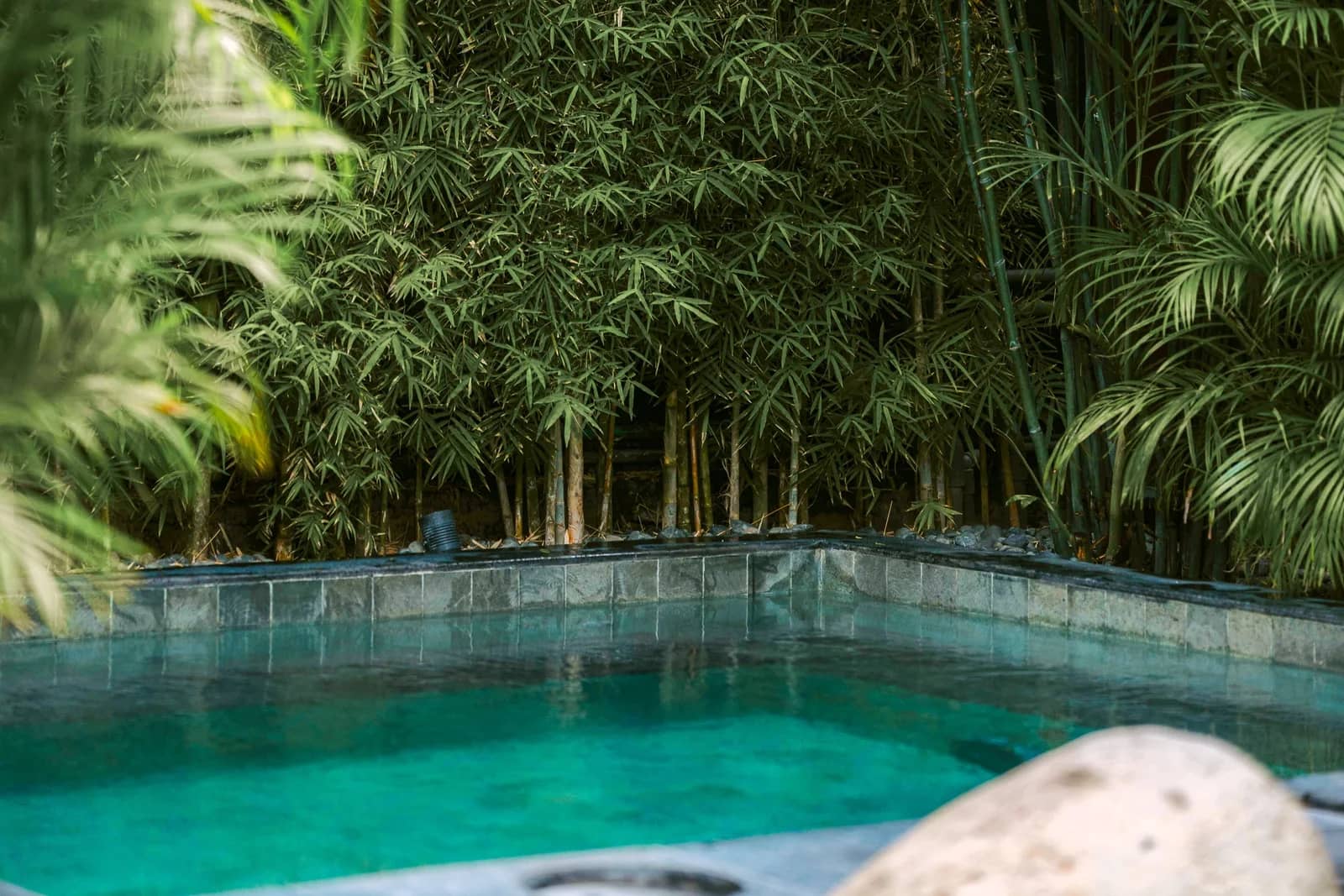 RITE Bali Recovery — Wellness
