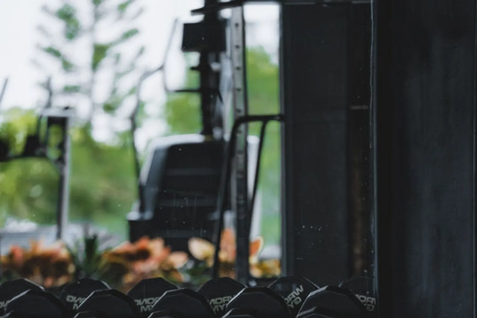 Wrong Gym Pererenan — Wellness