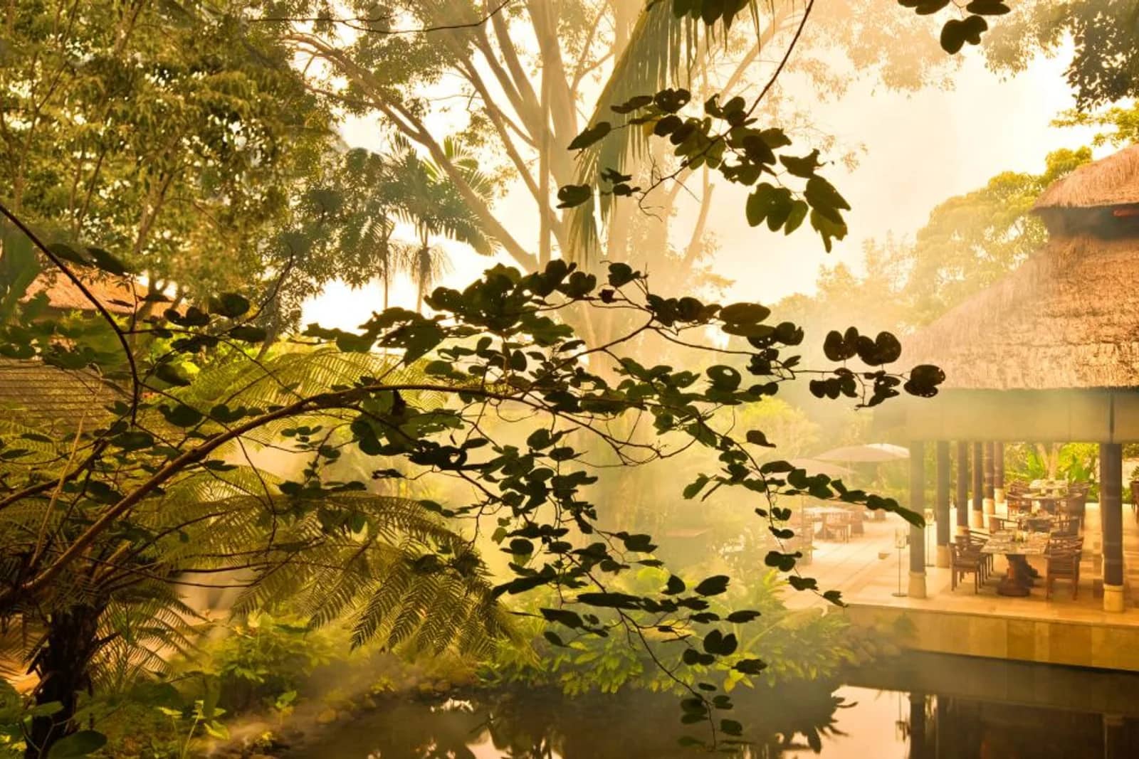 COMO Shambhala at COMO Uma Ubud Yoga — Yoga