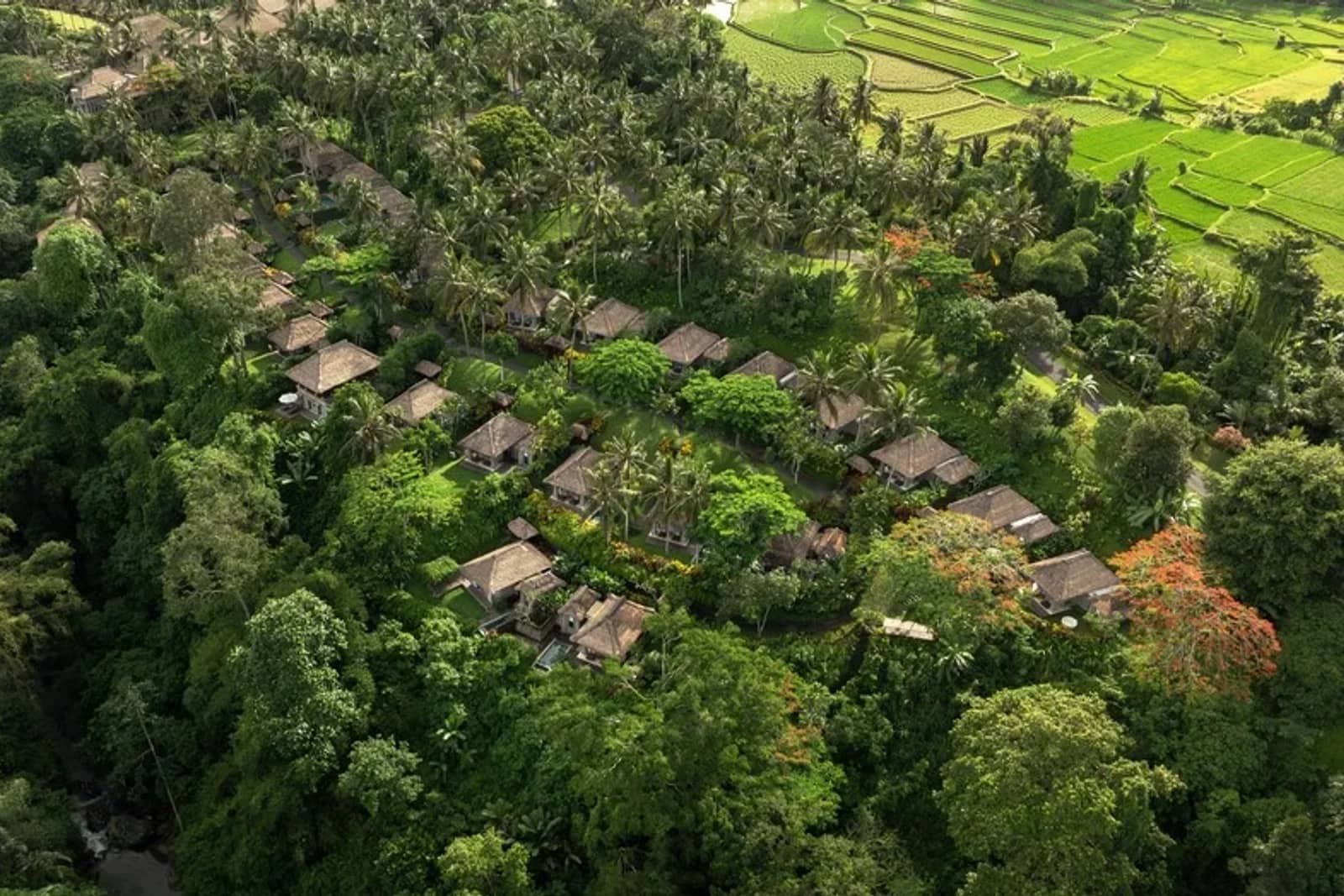 Maya Ubud Fitness Centre — Fitness