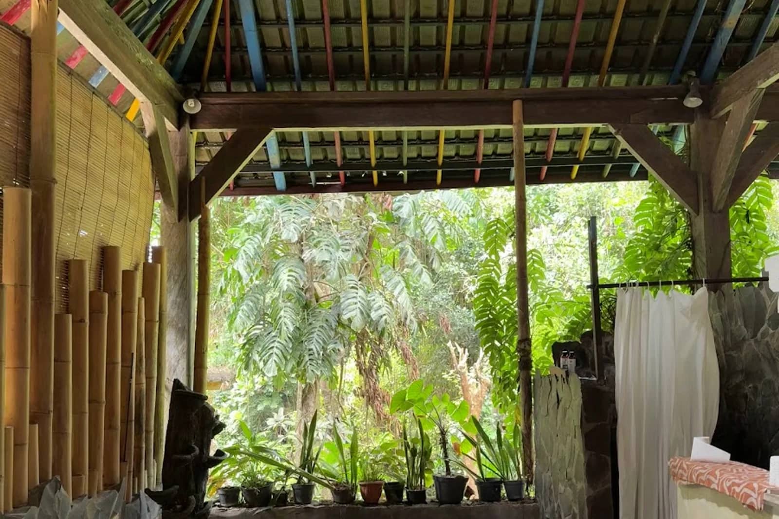 Cantika Zest — Wellness