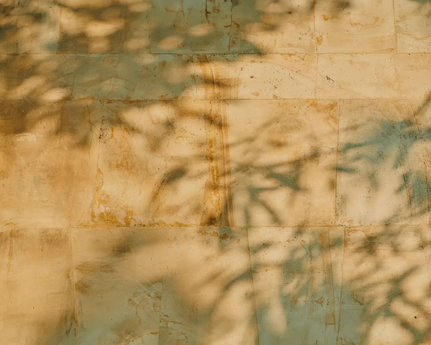 Spa at RIMBA by AYANA Bali — Wellness
