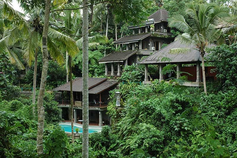 Oneworld Ayurveda — Wellness