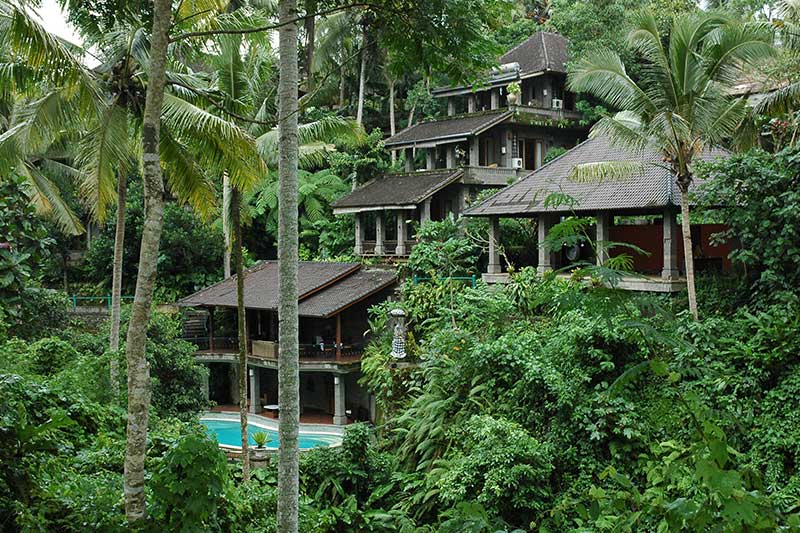Oneworld Ayurveda — Wellness