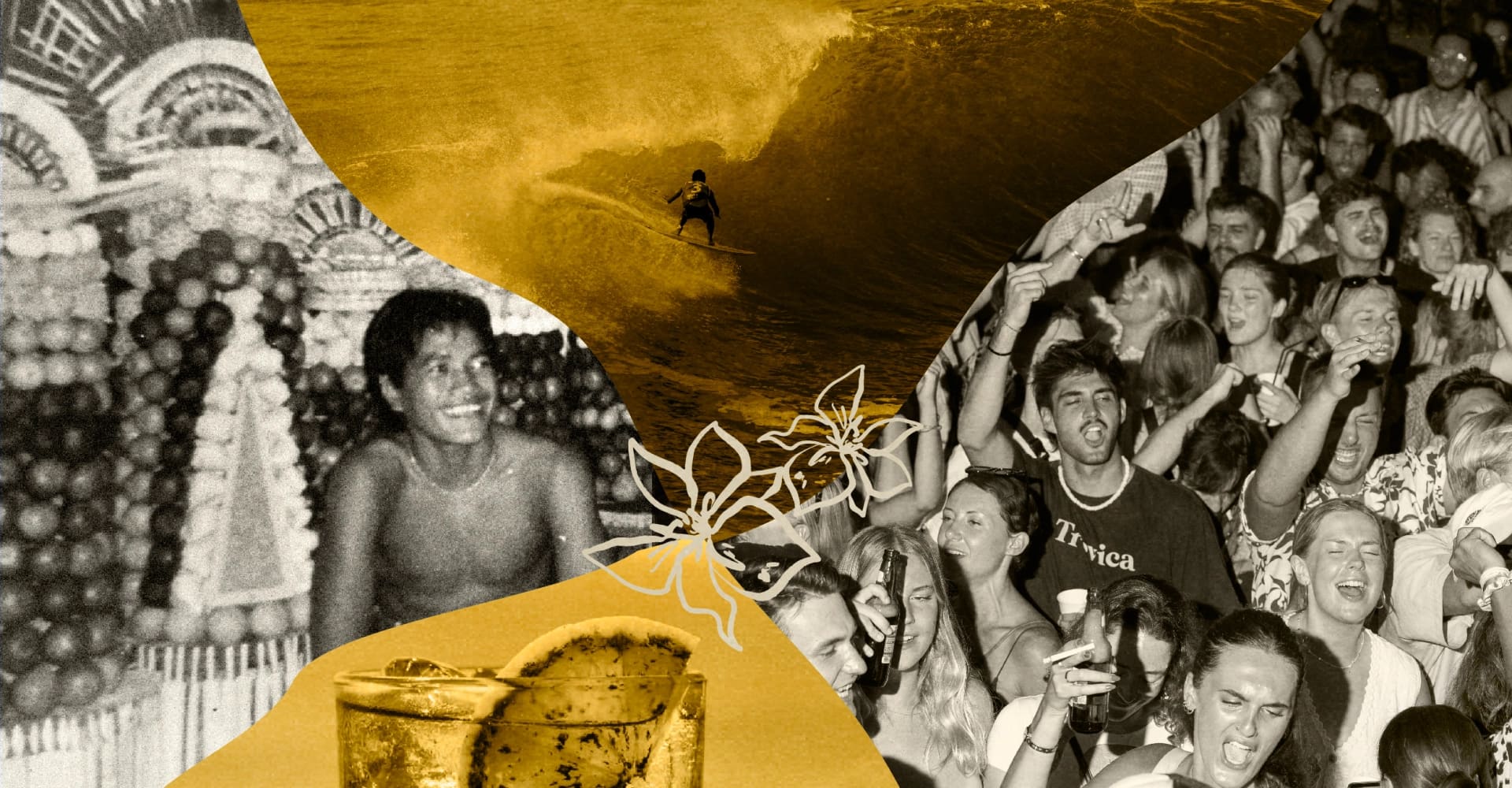 Single Fin — Bar