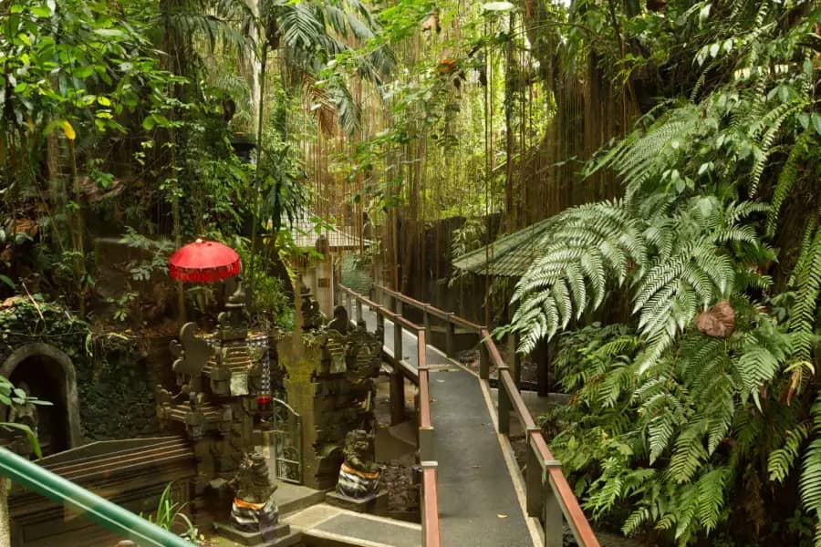 Taksu Yoga & Wellness Center — Wellness