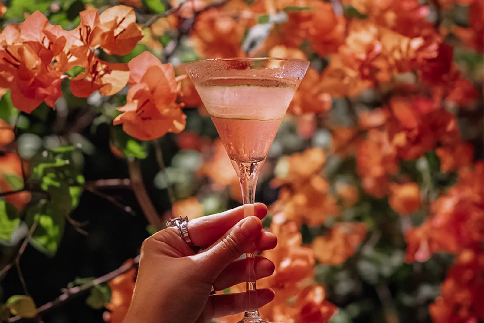MAMU garden cafe & lounge — Restaurant