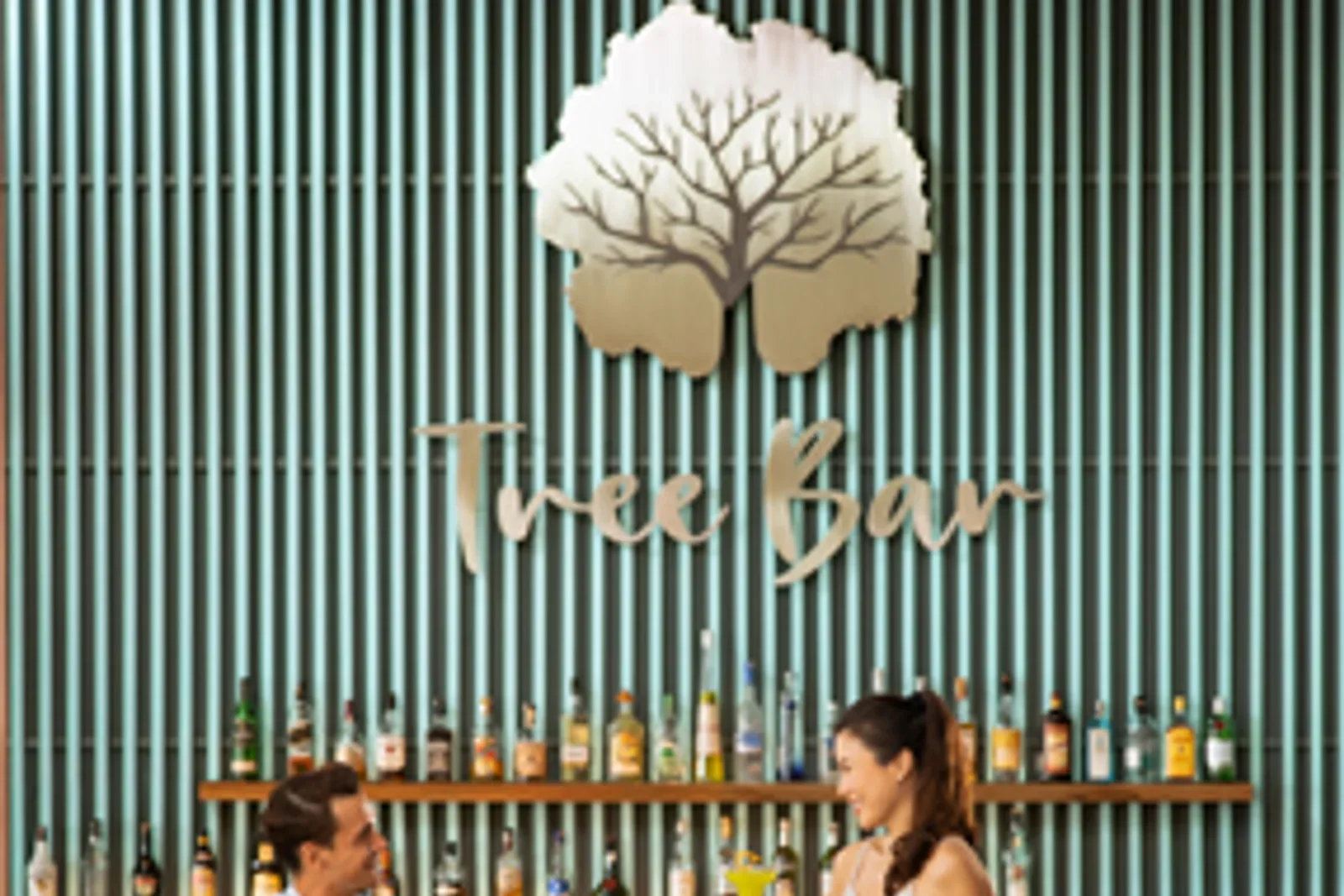 Tree Bar at Maya Sanur Resort & Spa — Restaurant